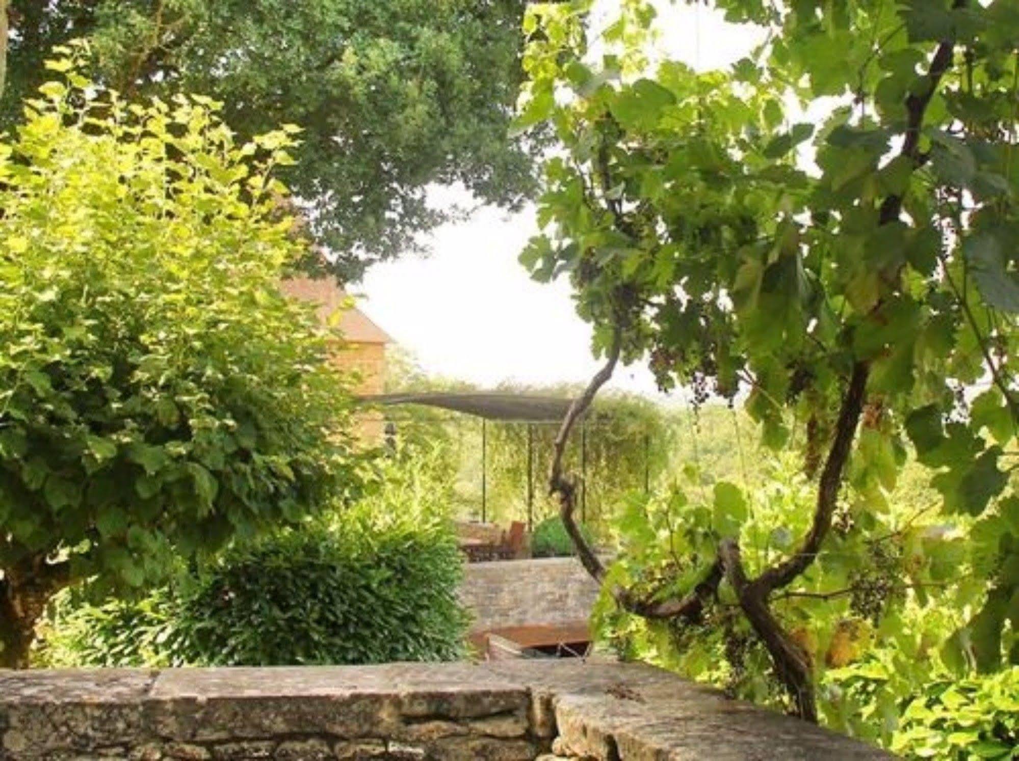 Chambre d'Hôtes La Rossillonie Beynac-et-Cazenac Extérieur photo